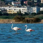 Appartement “dolce Sosta”