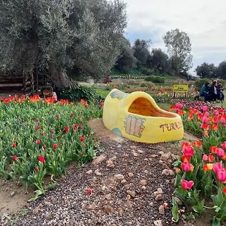 Appartamento “dolce Sosta” Quartu SantʼElena