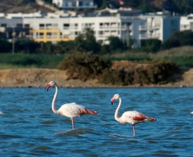 Apartamento “dolce Sosta”